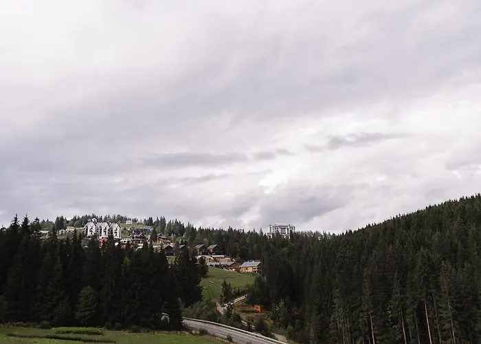 酒店 托加酒店 亚布卢尼齐亚